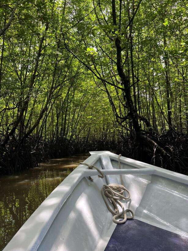 Langkawi: UNESCO Global Geopark Mangrove Cruise - Why Langkawi’s UNESCO Mangroves Feel Different