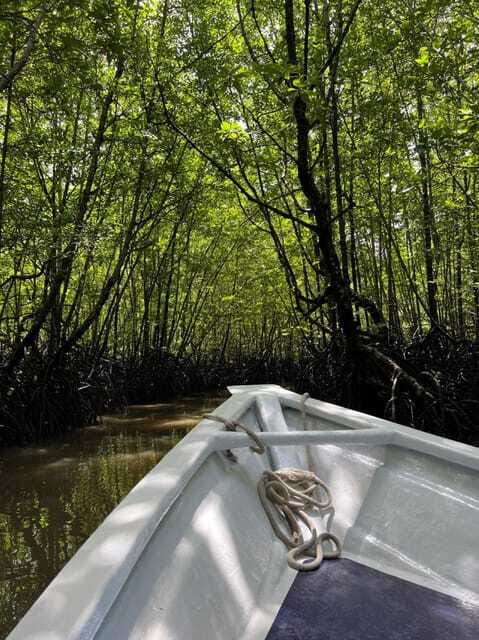 Langkawi: UNESCO Global Geopark Mangrove Cruise - Leaving the Mangroves for Limestone Drama