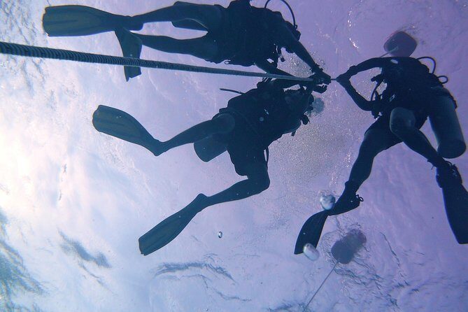 Learn to Dive | RAID Open Water 20 Diver Course | Kota Kinabalu - Starting at Suria Seafront 9:00 am: where your 3-day schedule clicks into place