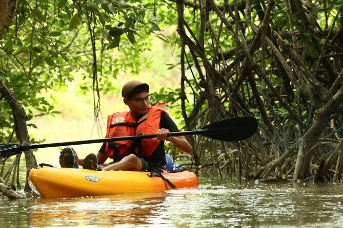 Lebam River Kayaking Adventure - Why Lebam River Kayaking Works So Well for a Half-Day