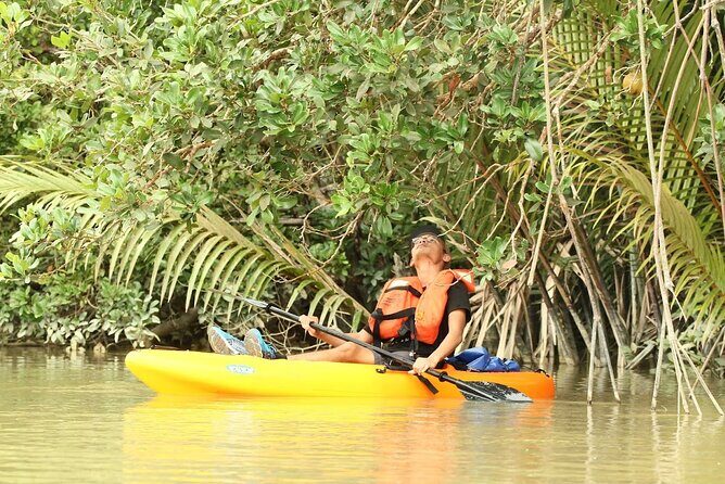 Lebam River Kayaking Adventure - Key Highlights You’ll Feel During the Trip