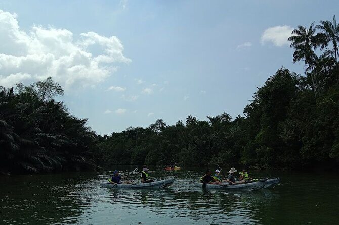 Lebam River Kayaking Adventure - Kayaking Through Mangroves: What You’ll Do on the Water