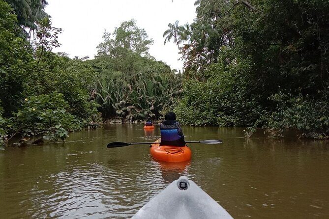 Lebam River Kayaking Adventure - What You’re Actually Getting for $78.20
