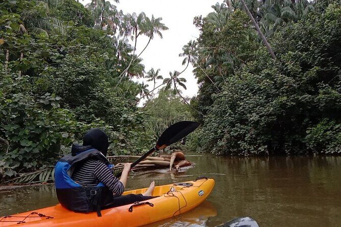 Lebam River Kayaking Adventure - Boat Ride Upstream: The Secret to Better Kayaking