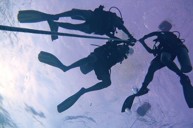 Leisure Diving | Fun Dives | 3 Dives in TARP, Kota Kinabalu - Equipment and permits: the value you feel after the fact