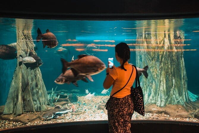 Malaysia: Aquaria KLCC Admission E-Ticket - Inside the visit: how your 1–2 hours usually feels