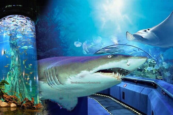 Malaysia: Aquaria KLCC Admission E-Ticket - The tunnel experience: why the 90m walkthrough is the star