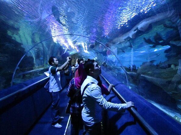 Malaysia: Aquaria KLCC Entry Ticket - Key things to know before you go