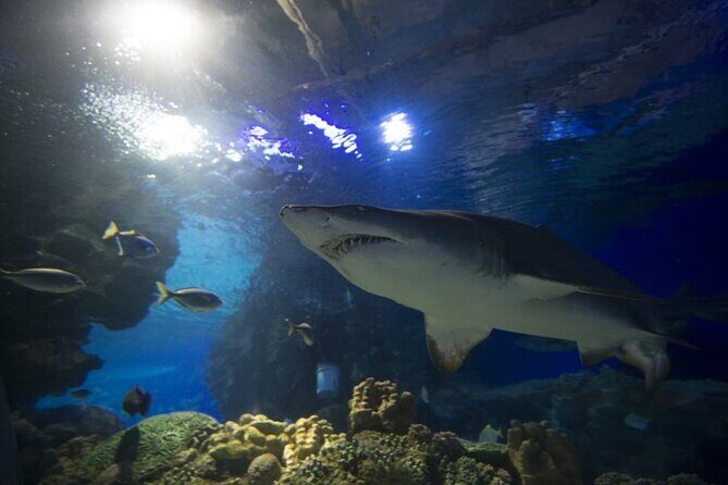 Malaysia: Aquaria KLCC Entry Ticket - Getting there near the KL Convention Centre area
