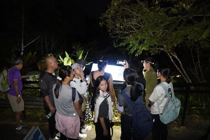 Malaysia: Penang Habitat Entry Ticket - The night experience: illuminated walks and ranger-led education