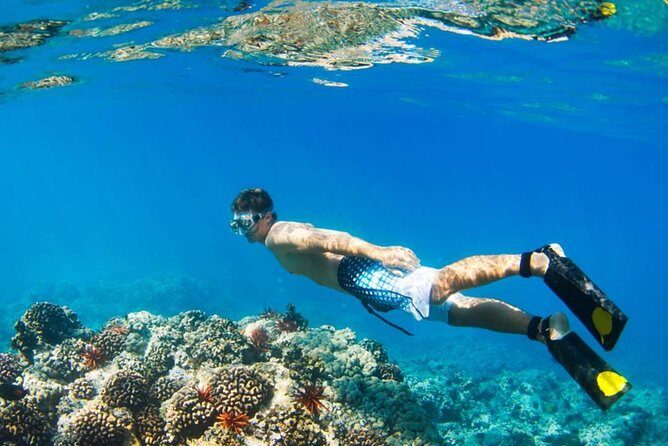 Mamutik + Sapi Island SnorkelingTrip from Kota Kinabalu - Optional Side Visit: Choose Sapi or Mamutik After Manukan