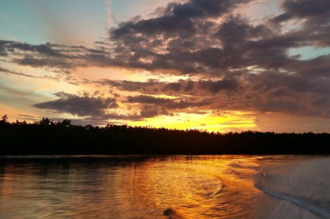 Mangrove Cruise with Fireflies Tour Including Dinner from Sandakan - Key highlights at a glance