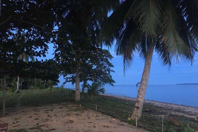 Mangrove Cruise with Fireflies Tour Including Dinner from Sandakan - Timing and pickup in Sandakan (so you don’t miss the best light)