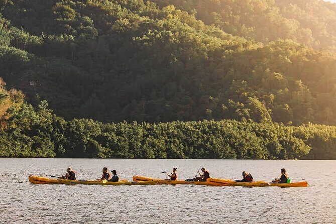 Mangrove Kayaking Experience in Borneo - Breakfast at Aru Bay at 8:00, then back to Kota Kinabalu