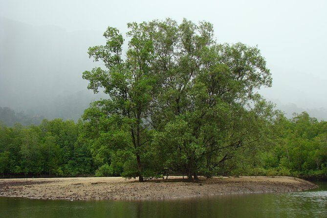 Mangrove River Cruise and Snorkeling Tour from Langkawi - A Private Mangrove Cruise That Feels Like Your Own Boat Ride