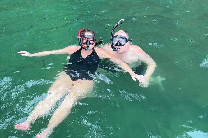 Mangrove River Cruise and Snorkeling Tour from Langkawi - JungleWalla Naturalist Guide: What You Gain Beyond the Scenery