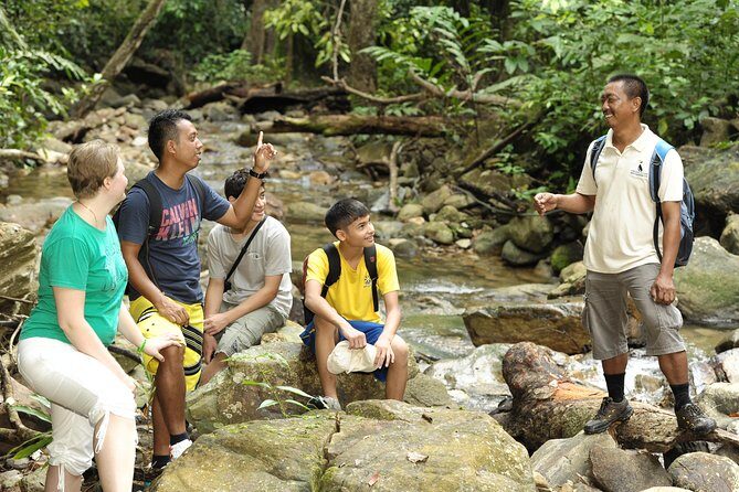 Morning Rainforest Walking from Langkawi - JungleWalla Morning Rainforest Walk: The Quick Take