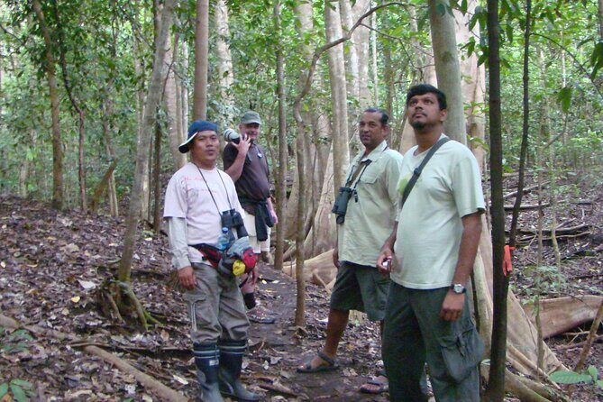 Morning Rainforest Walking from Langkawi - Key Points That Matter Before You Go