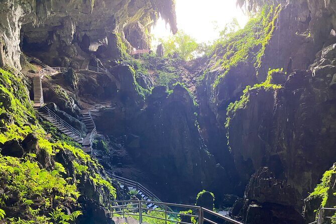 Mountain Biking Gold Mine Full-Day Tour - Wind Cave Walk: Darkness, Bats, and Swiftlets