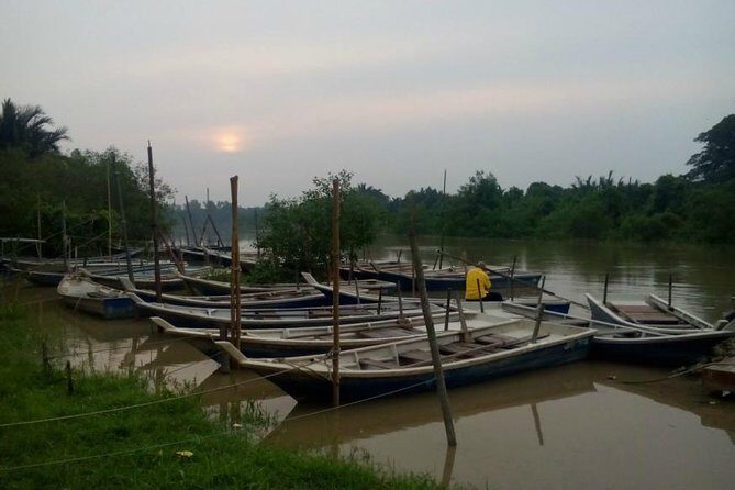 Nature At The Riverbank, Fireflies Watching By Row Boat (Guided) - Key highlights worth clocking