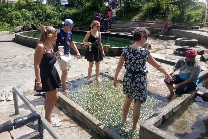 Nature’s Wonders: Kuala Selangor Fireflies & Hot Springs Tour - Why Kuala Selangor Fireflies Feel Different After Sunset