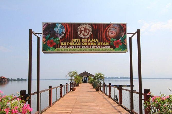 Orang Utan Island and Perak Tong Cave From Kuala Lumpur - Orang Utan Island: Close Wildlife Moments and the Rehab Story
