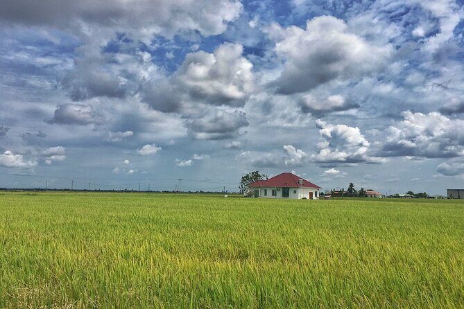 Paddy Field, Fishing Village Sekinchan DAY Tour Lunch (SIC-Shared/Join In Tour) - Getting picked up and how the drive feels