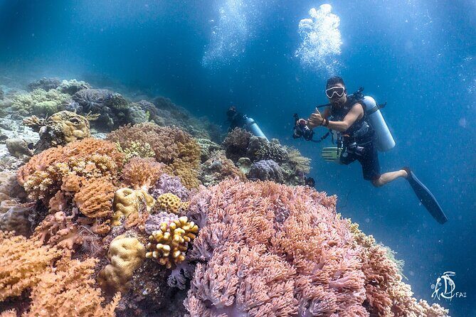 PADI Advanced Open Water Course Kota Kinabalu - Equipment, Instructors, and the “Okay, I Got It” Moment