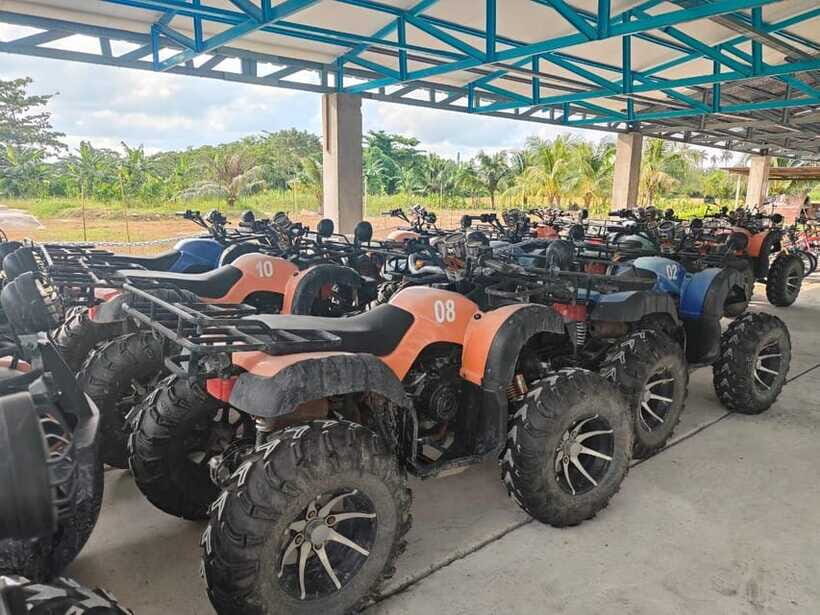 Penang: ATV Ride in Balik Pulau with Snacks and Transfers - Pace and scenery: what the morning countryside feels like