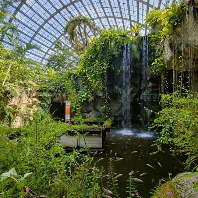 Penang: Entopia General Admission Tickets - The Cocoon indoors: interactive learning that doesn’t feel like a lecture