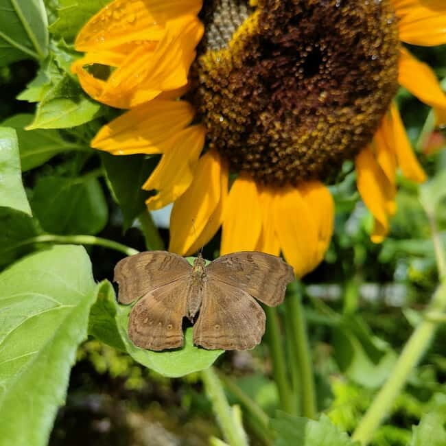 Penang: Entopia General Admission Tickets - Your mini-itinerary: how to plan your 1 day at Entopia