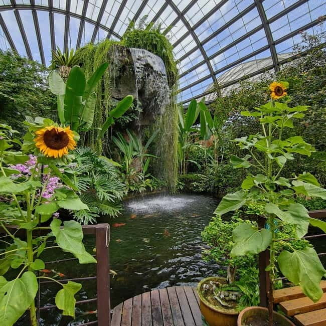 Penang: Entopia General Admission Tickets - Who should book Entopia general admission?