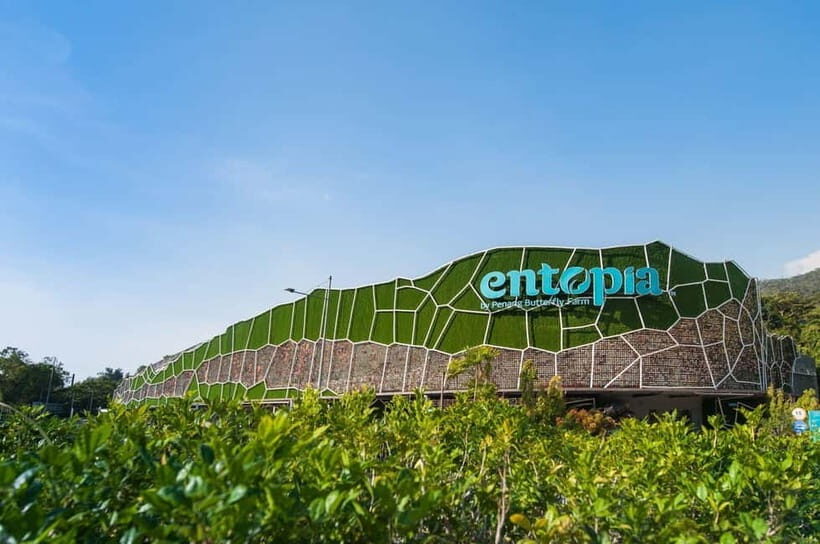Penang: Entopia General Admission Tickets - Entering The Butterfly Sanctuary: what the 15,000 butterflies really means