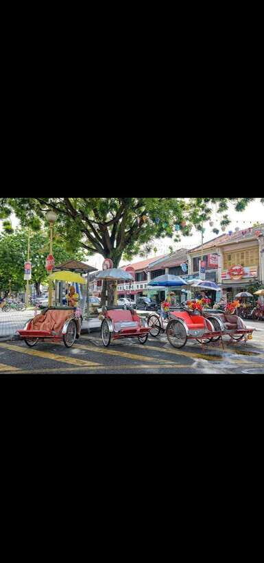 Penang: Exciting Local Half Day Private tour 6-10pax(5Hours) - Skip-the-line access and entry ticket reality checks