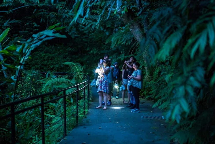 Penang: The Habitat Penang Hill Entry Ticket - Entering The Habitat Penang Hill and getting oriented