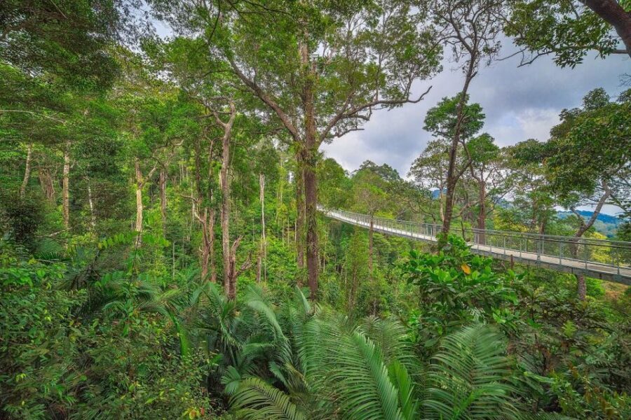 Penang: The Habitat Penang Hill Entry Ticket - Getting up there: funicular timing and how crowds affect your plan
