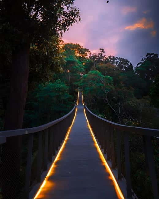 Penang: The Habitat Penang Hill Entry Ticket - The canopy bridge: the 40m-high walk that makes the rainforest feel close
