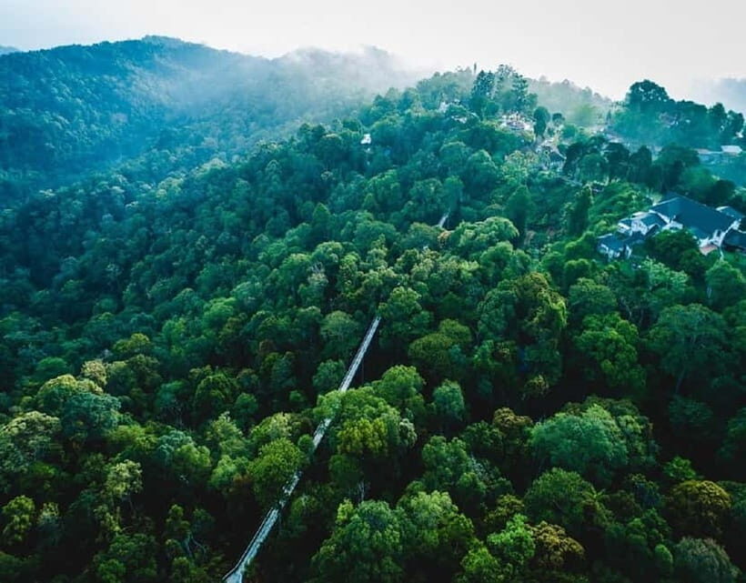 Penang: The Habitat Penang Hill Entry Ticket - Timing your visit: standard daytime entry vs Evening Walk