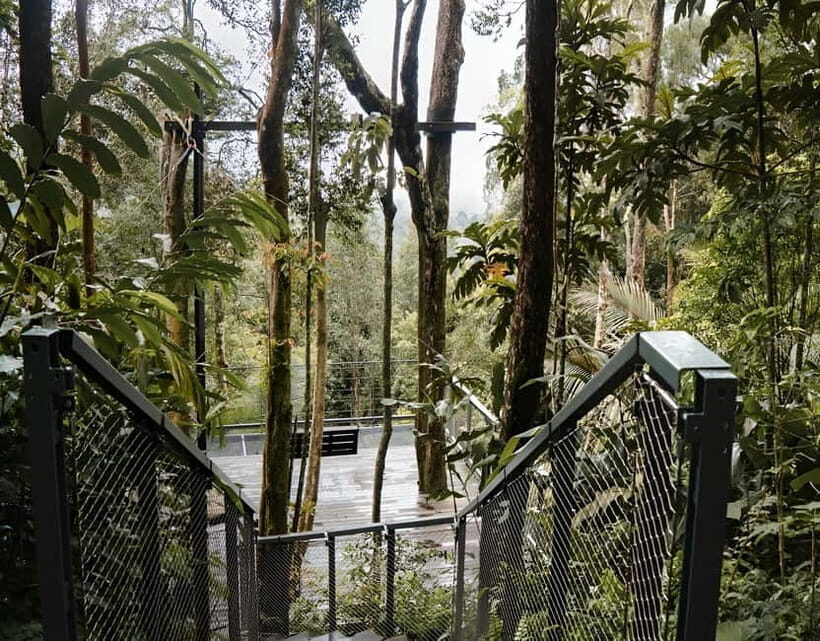 Penang: The Habitat Penang Hill Entry Ticket - Food and coffee at Habita Café & Retail