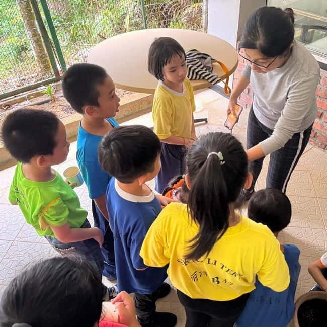 Penang: Tropical Fruit Farm Ticket - The Guided Tour: How the Tasting Parts Fit Together