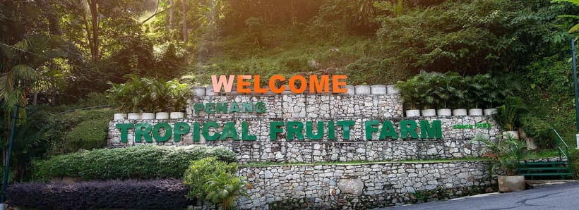 Penang: Tropical Fruit Farm Ticket - What Your $7 Ticket Really Buys