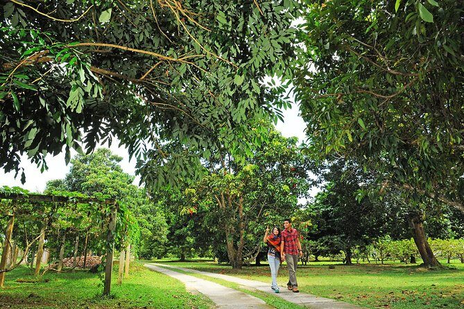 Penang Tropical Fruit Farm with Fruit Tasting - Penang Tropical Fruit Farm: Teluk Bahang views and a very food-forward plan