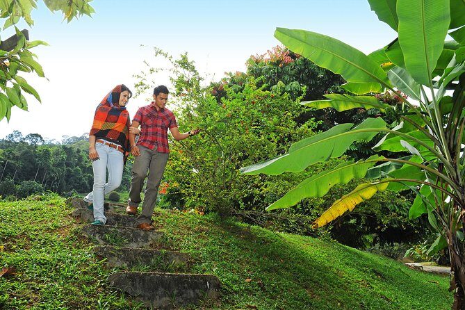 Penang Tropical Fruit Farm with Fruit Tasting - Tasting the farm’s VCO, enzyme process, and natural soap making