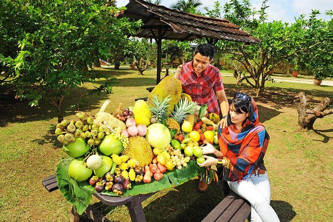 Penang Tropical Fruit Farm with Fruit Tasting - The fruit buffet and fresh juice: what you’re actually there for