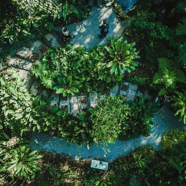 Penang: Tropical Spice Garden Entrance Ticket & Guided Tours - Wildlife moments: birds, lizards, and monkeys while you walk