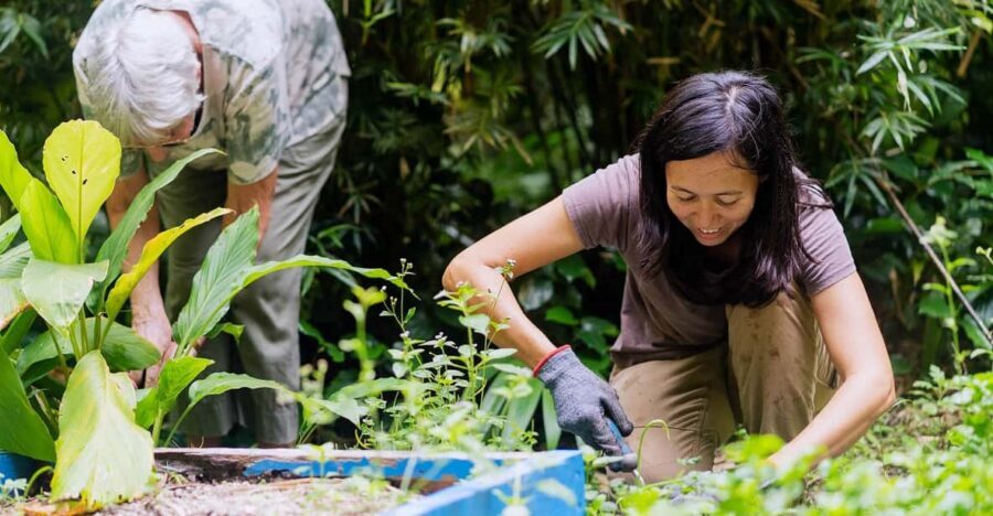 Penang: Tropical Spice Garden Entrance Ticket & Guided Tours - Your self-guided path: audio guide + themed sections that keep you oriented