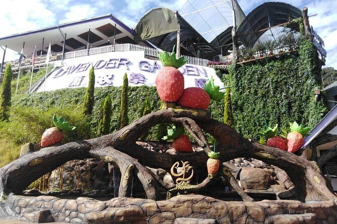 Private: Cameron Highlands 2 days 1 night Trip - How to pace it: timing, weather, and a realistic plan