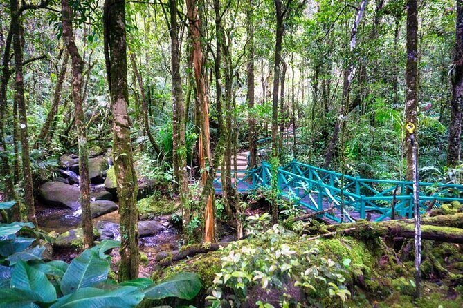 Private Desa Dairy Farm, Kinabalu National Park, Hot Spring & Canopy Walk Tour - Kinabalu Park headquarters and registration area: where the day gains context