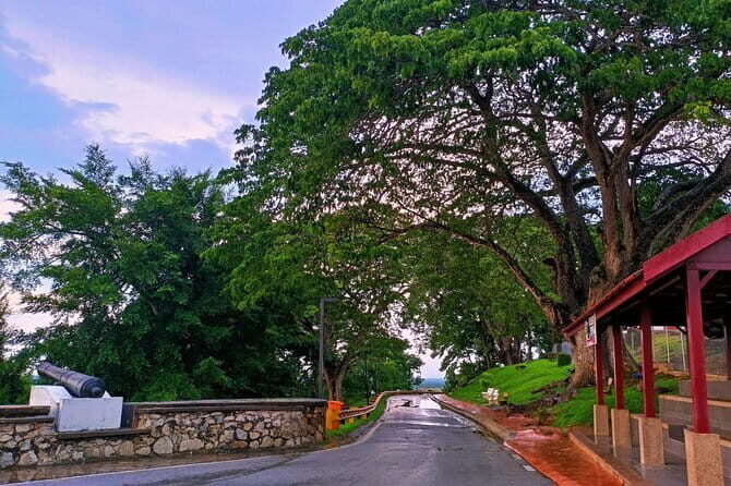 Private Fireflies Tour with Blue Tears and Seafood Dinner - Bukit Melawati and Altingsburg Lighthouse: Monkeys and Panoramas in One Stretch