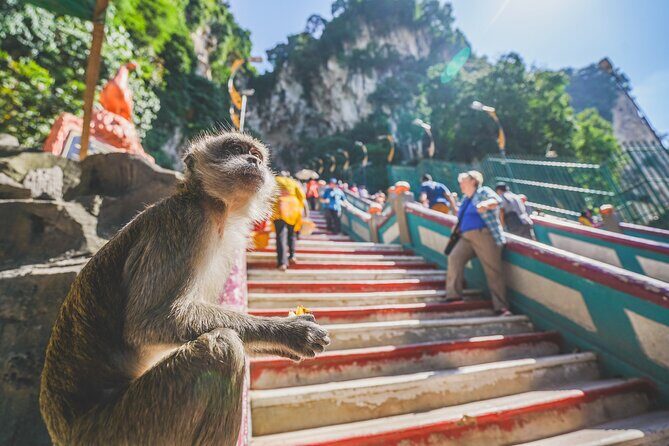 Private Half-Day Batu Caves and Cutural Tour in Kuala Lumpur - Practical logistics: pickup, mobile tickets, and how private really feels